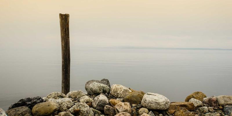 再婚家庭情感融合咨询指南：干爱网专业恋爱指导与婚姻修复服务，化解继亲子关系难题