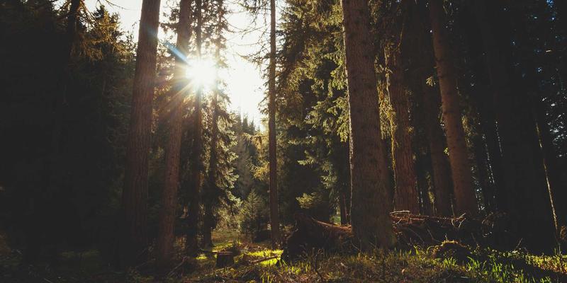 分手后如何修复情感？干爱网专业婚恋服务助你健康处理哀伤、重建自我价值