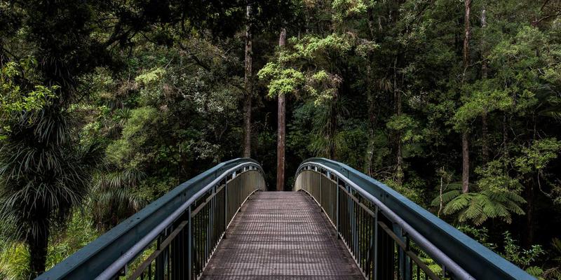 如何通过情感咨询重建出轨后的信任与亲密关系：个人成长与专业婚恋服务的双重路径