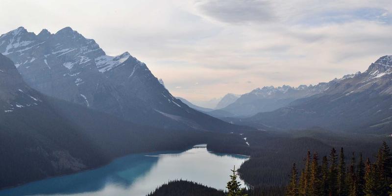 婚姻修复指南：专业婚恋服务如何为情感注入新活力 | 干爱网情感咨询77