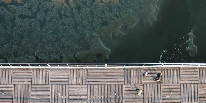 婚恋服务中的依恋理论应用：干爱网教你识别并改善逃避型恋爱模式