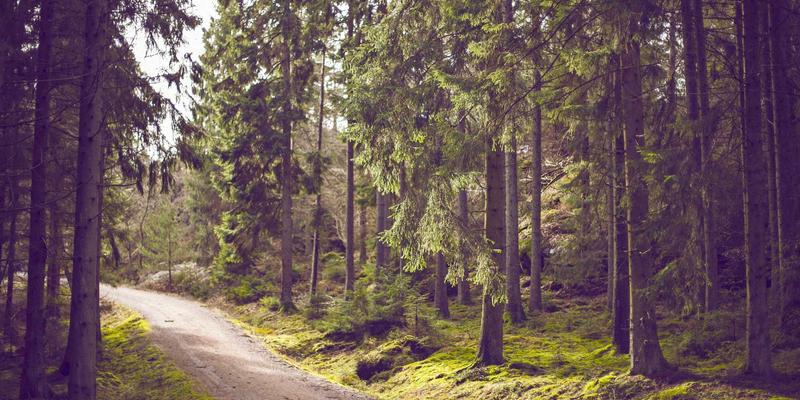 婚恋服务新视角：情感咨询如何助力LGBTQ+伴侣应对社会压力与内部关系动态