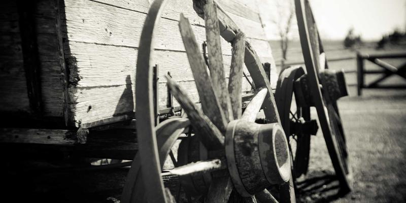 婚恋服务新趋势：情感咨询如何成为现代婚恋关系的“必修课”？