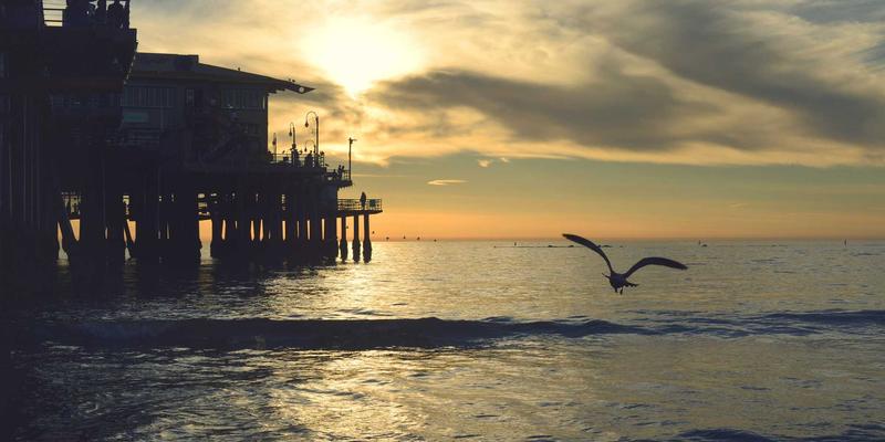 干爱网专业情感咨询:科学恋爱指导,助你破解情感迷局