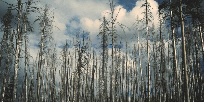 干爱网情感咨询：以专业陪伴，开启个人成长与幸福关系的双重旅程