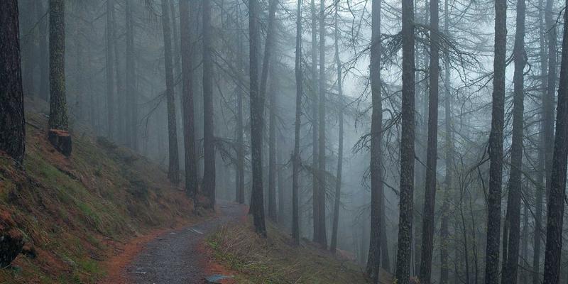 异地恋如何长久？专业婚姻修复师教你跨越距离，实现个人成长与情感升华