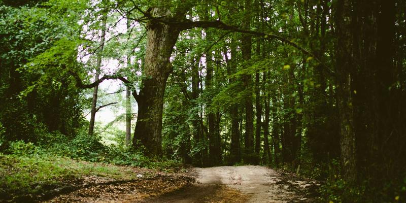 恋爱指导与情感咨询：如何助力LGBTQ+群体应对社会压力与实现个人成长