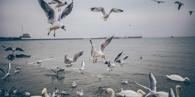 恋爱指导专家解析：情感咨询如何改善情感依赖型人格对亲密关系的影响 | 干爱网婚恋服务