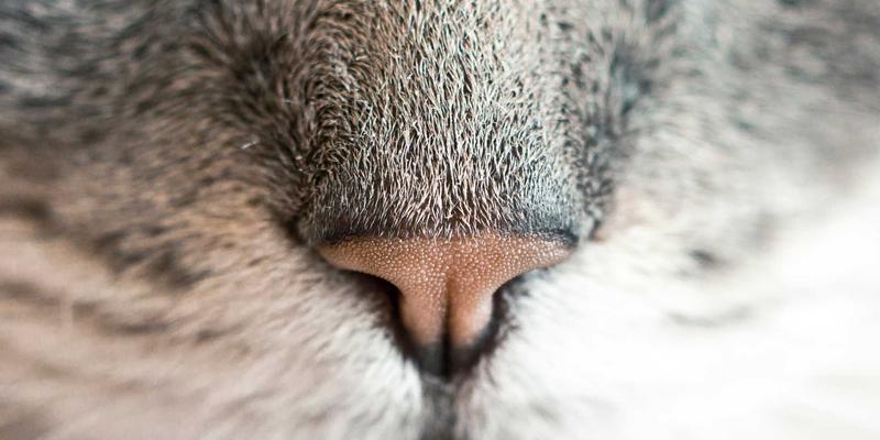 情感咨询100:个人成长、婚恋服务与婚姻修复的整合之道