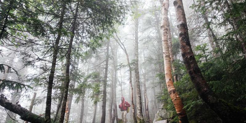 情感咨询41：专业婚恋服务与恋爱指导，如何重塑现代人的情感连接