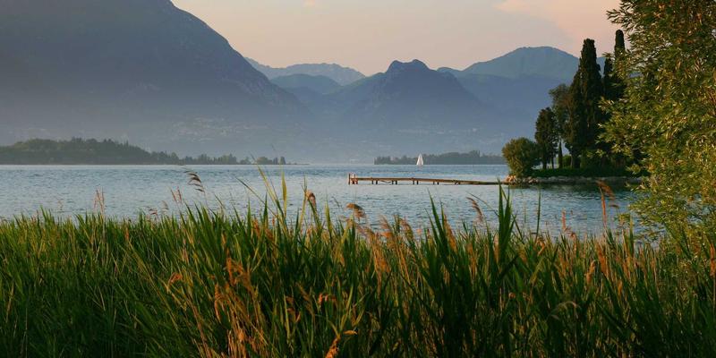 情感咨询42：专业恋爱指导与婚姻修复，重塑幸福婚恋关系