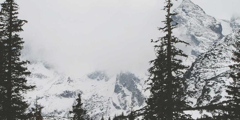 情感咨询52：恋爱指导与个人成长的双向奔赴，干爱网解读现代情感密码