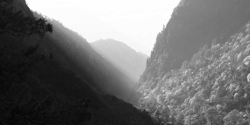 情感咨询如何重塑现代婚恋关系?解析专业服务对亲密关系的价值