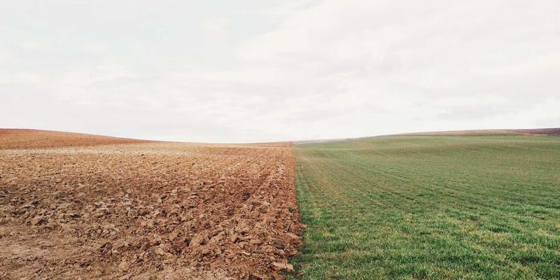 情感咨询师解析：如何识别有毒关系并重建自我价值｜恋爱指导与个人成长指南