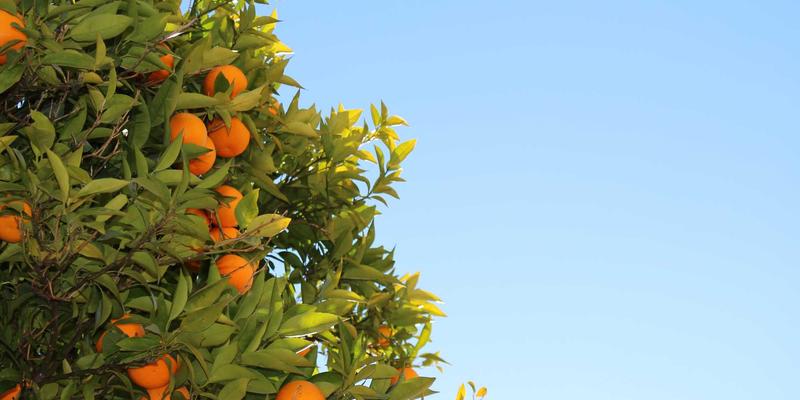 高敏感人群的婚恋指南：恋爱指导与婚姻修复的情绪管理策略